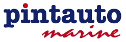 pintauto
